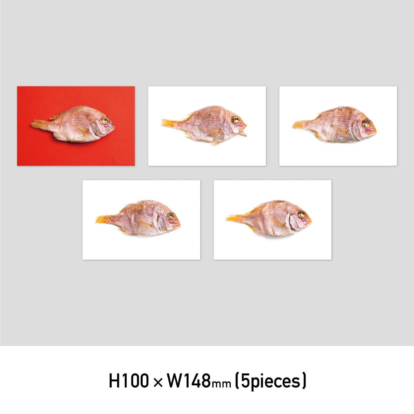 鯛 POST CARD set