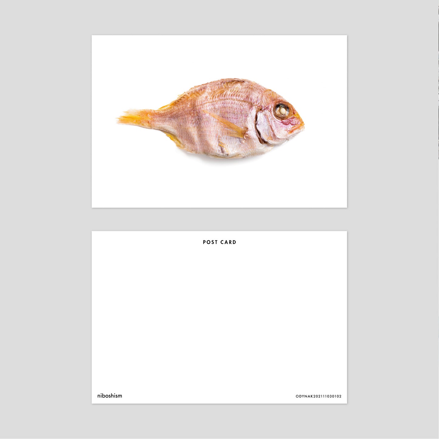 鯛 POST CARD set